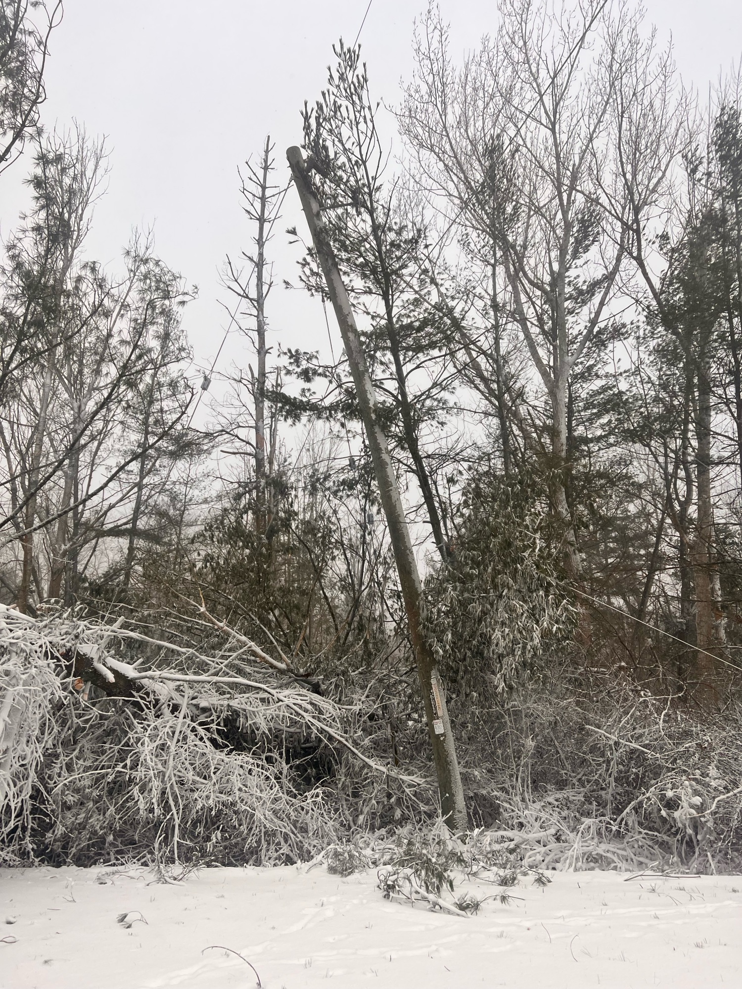 Prepare Your Power Lines for Winter: Why Maintenance is Essential and Why Polecat Power Line Company is Your Best Choice